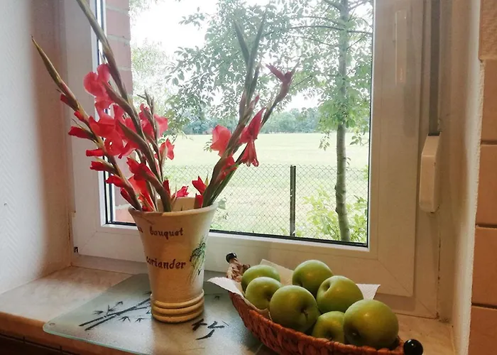 Apartment Elpare Schleife